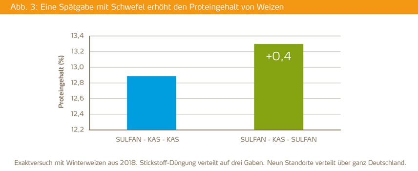 Eine Spätgabe mit Schwefel erhöht den Proteingehalt von Weizen