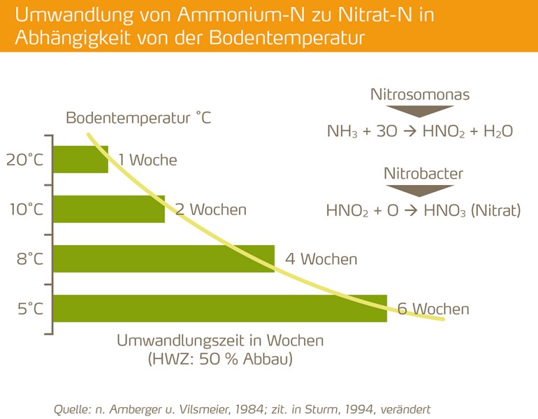 Abhaengigkeit von der Bodentemperatur