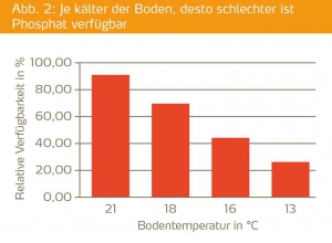 wurzelwachstum bodentemperatur phosphatverfuegbarkeit