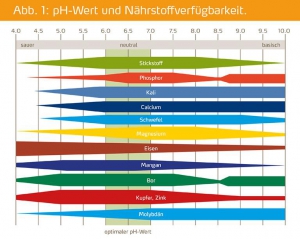 wurzelwachstum ph-wert