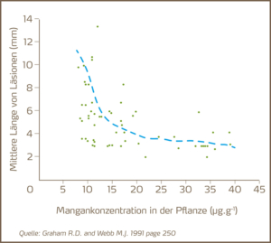 mangankonzentration schwarzbeinigkeit