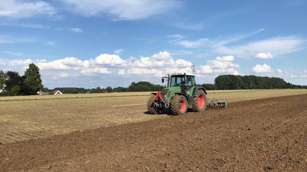 Mit Zwischenfrüchten die Bodenfruchtbarkeit steigern - Effizient düngen