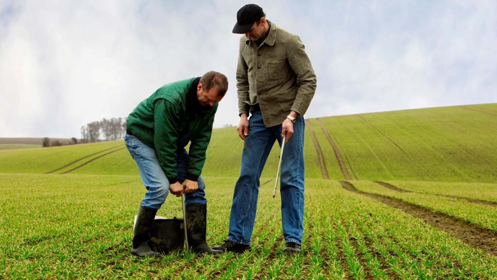 Bodenproben auf Feld nehmen