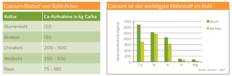 Caliumbedarf Kohl