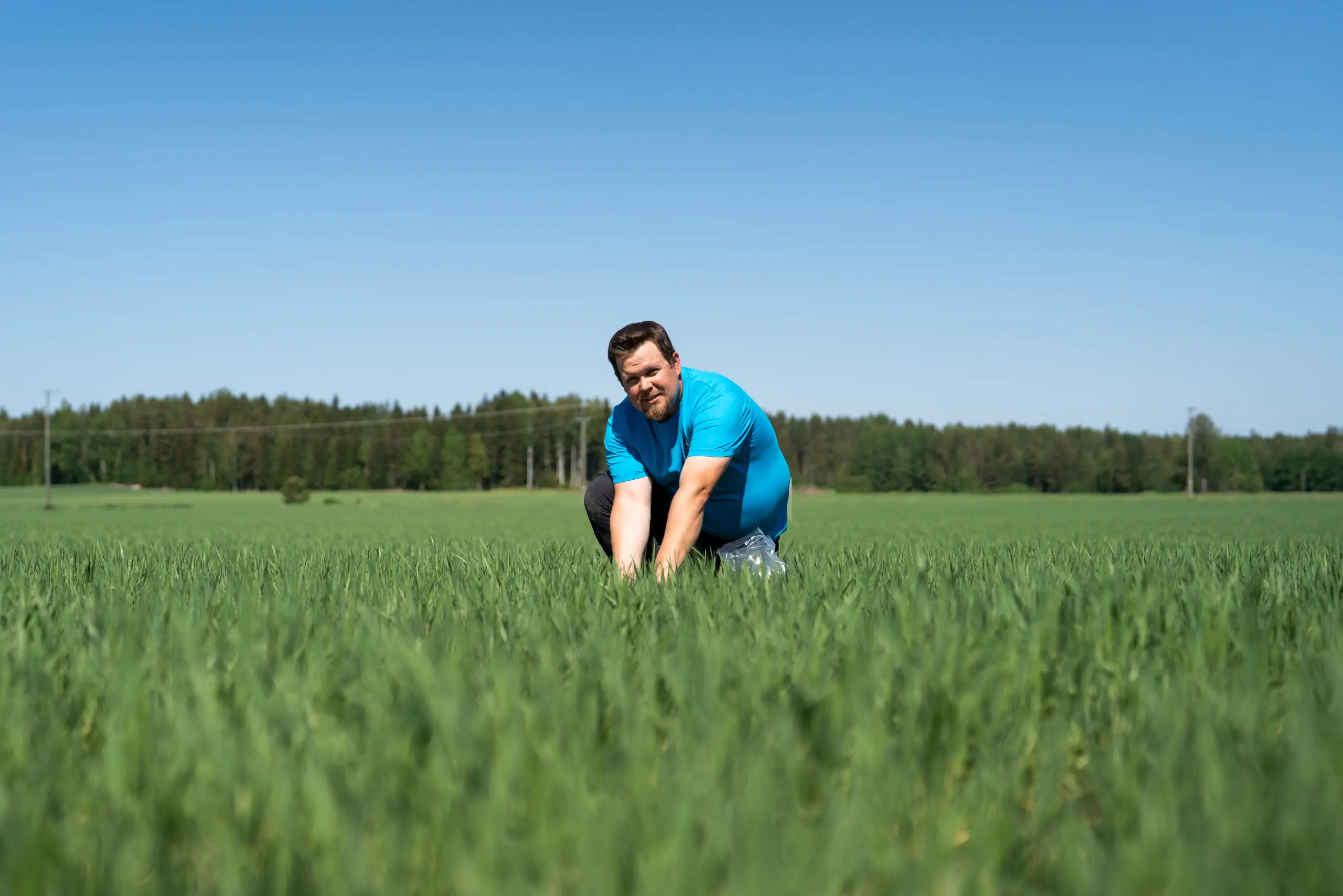 Landwirt kniet im grünen Getreidefeld und begutachtet das Wachstum der Pflanzen bei blauem Himmel.