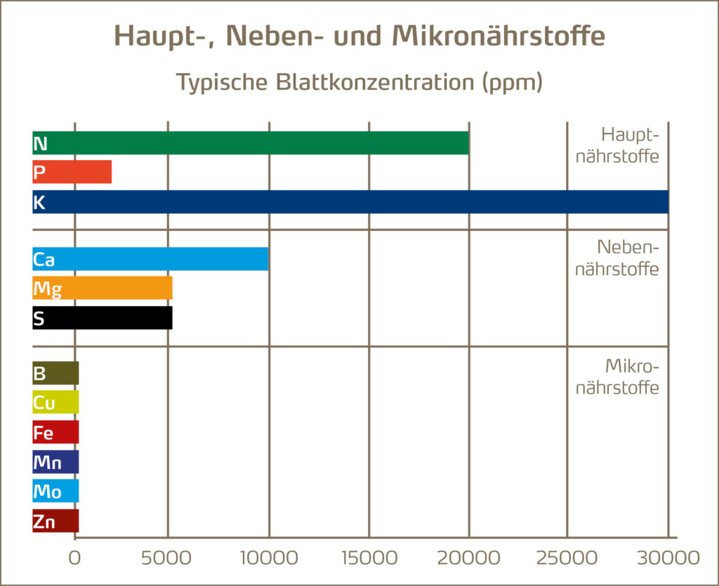 Blattkonzentration der Nährstoffe