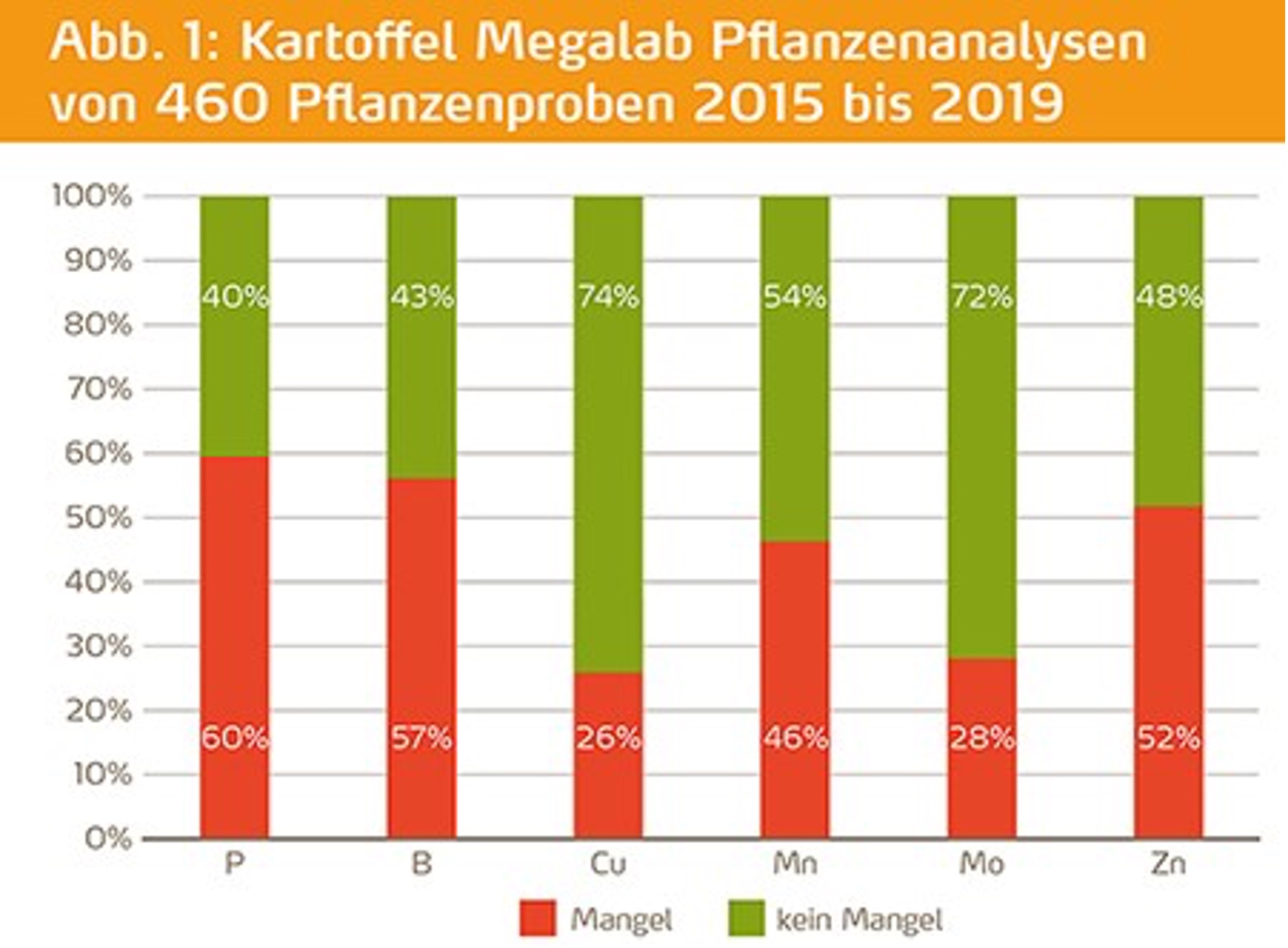 Kartoffeln effizient düngen