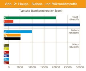 Grafik zeigt die Haupt-, Neben- und Mikronährstoffe der Kartoffel in einer Tabelle.