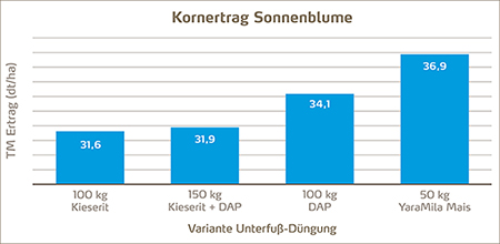 Kornertrag Sonnenblumen bei unterschiedlicher Düngung