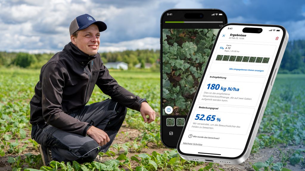 N_Photoanalyse Raps 1024 Stickstoff-Fotoanlayse im Raps mit YaraPlus