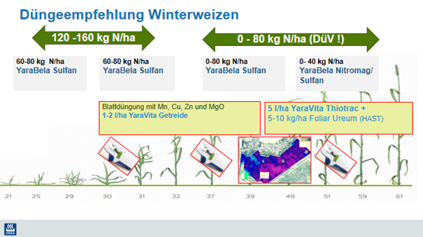 Plan Weizen Düngeempfehlung Winterweizen