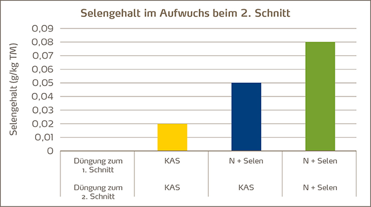 Selengehalt im Aufwuchs beim zweiten Schnitt