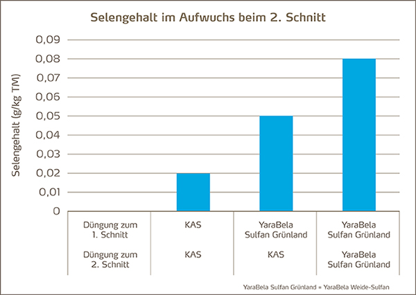 Selengehalt im Aufwuchs beim 2. Schnitte