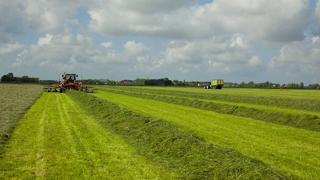 Silageernte