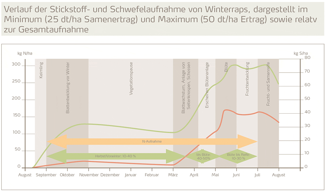 verlauf stickstoffaufnahme schwefelaufnahme winterraps