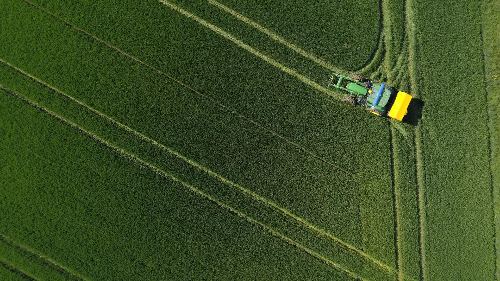 Luftaufnahme eines grünen Feldes mit Traktor und Düngerstreuer in den Fahrgassen.