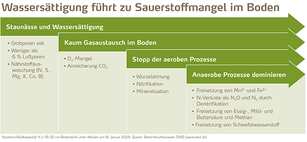 Abbildung Wassersättigung führt zu Sauerstoffmangel im Boden