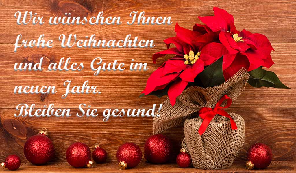 Tipps fr Ihren Weihnachtsstern  So blht er lnger - Effizient dngen