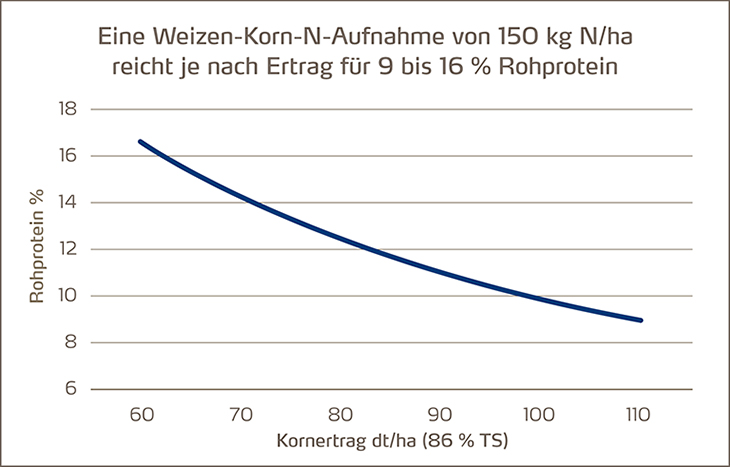 Weizen-Korn-N-Aufnahme