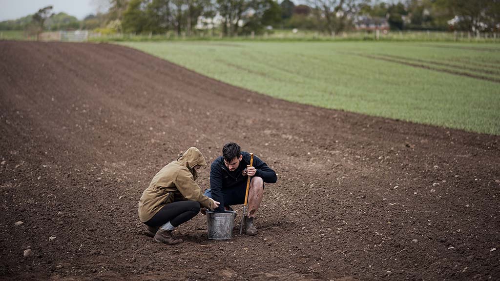 Bodenprobenahme auf unbewachsenem Feld