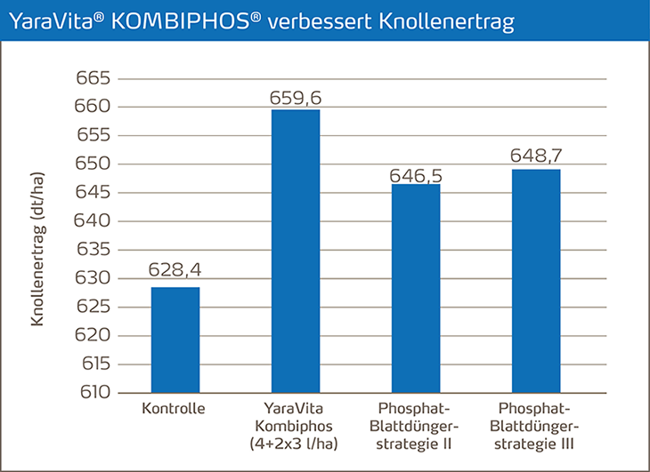 Kombiphos erhöht den Knollenertrag