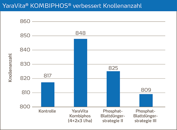 Kombiphos verbessert Knollenanzahl