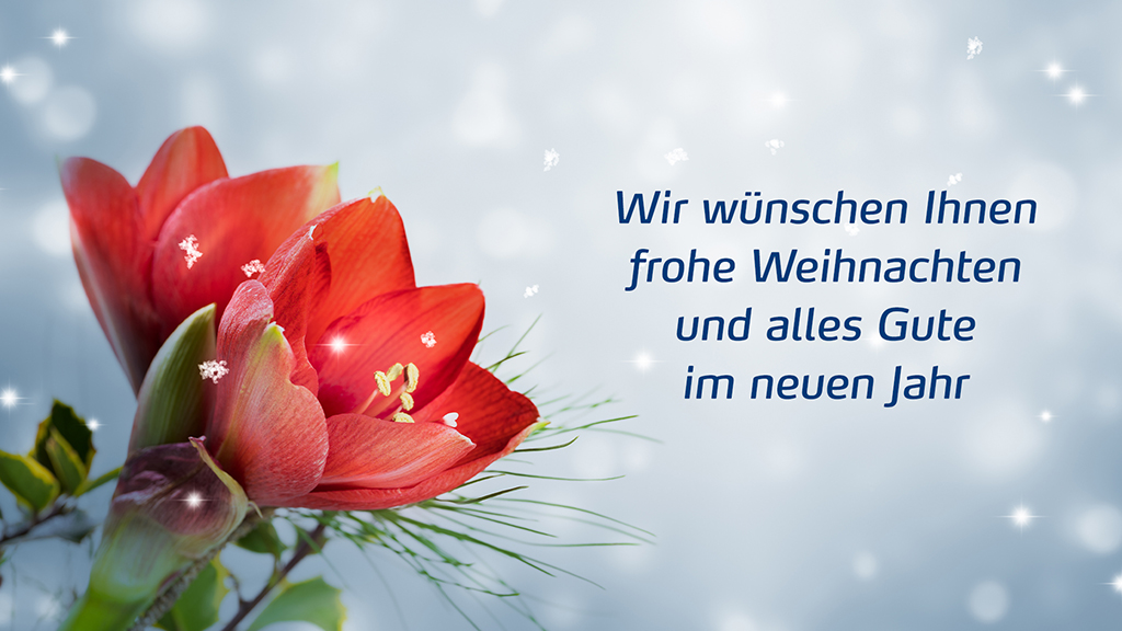 Frohe Weihnachten und alles Gute im neuen Jahr