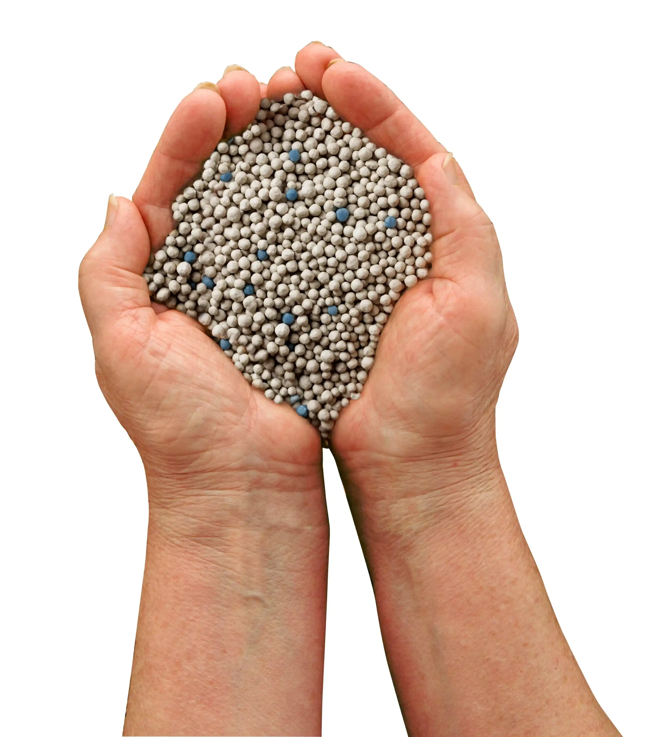 Zwei Hände halten Kalkammonsalpeter-Granulat, graue Düngerkörner mit blauen Pellets für die Landwirtschaft