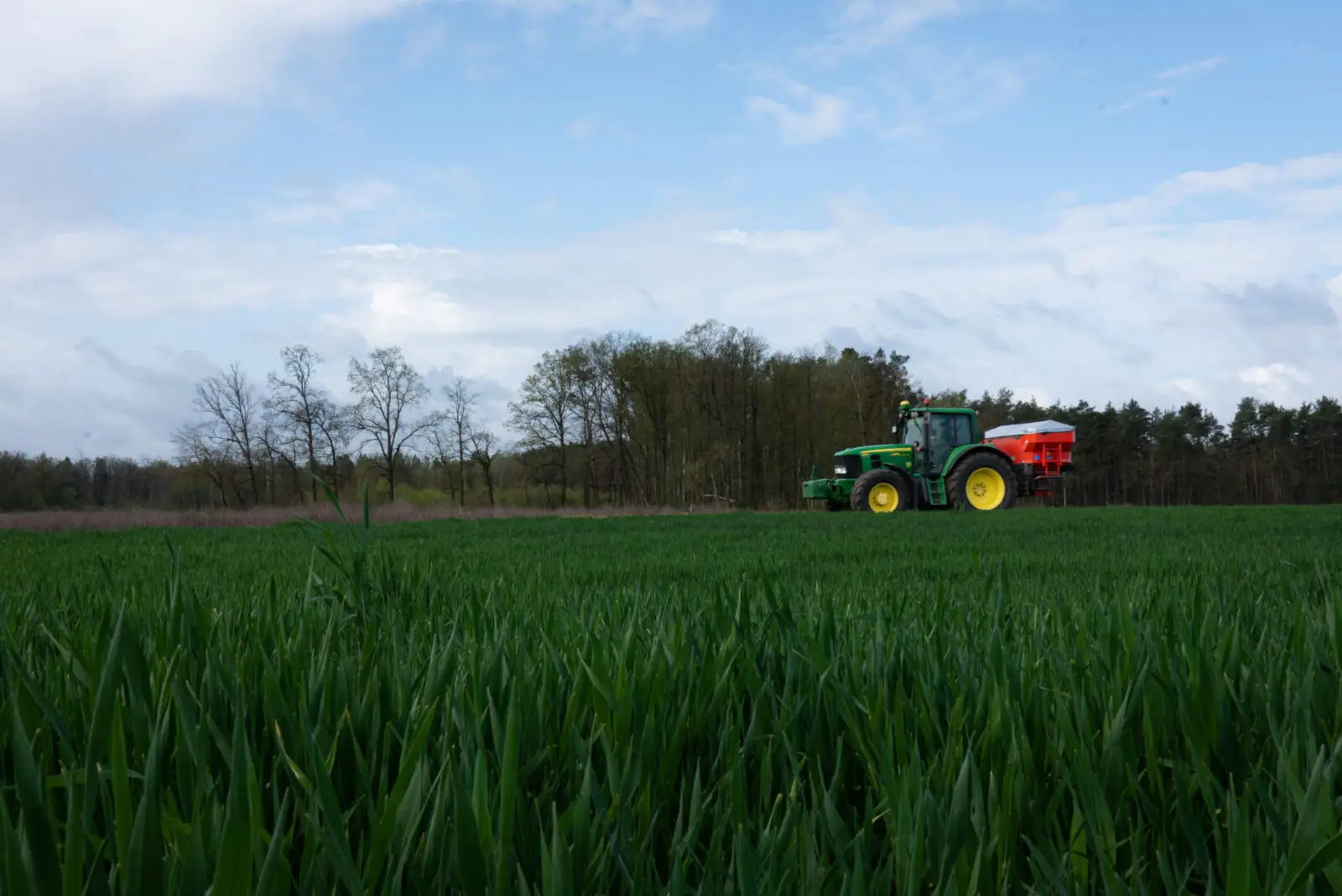 Traktor beim Ausbringen von Mineraldünger auf einem grünen Getreidefeld
