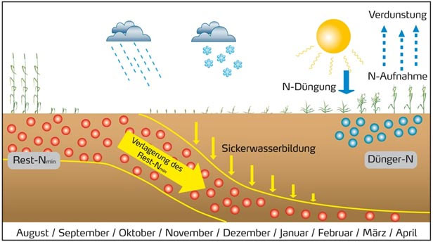 Nitratverlagerung in den Boden