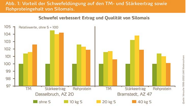 Silomeis Ertrag verbessern durch Schwefel